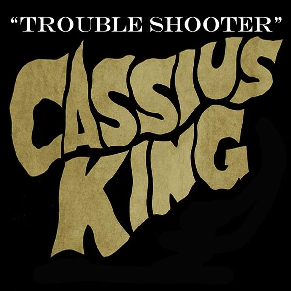Cover art for Trouble Shooter